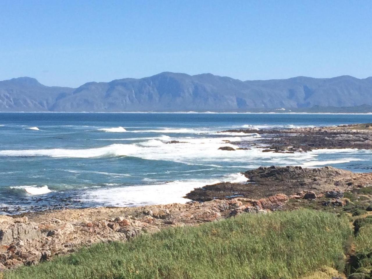 Royal Albatros Lägenhet Gansbaai Exteriör bild