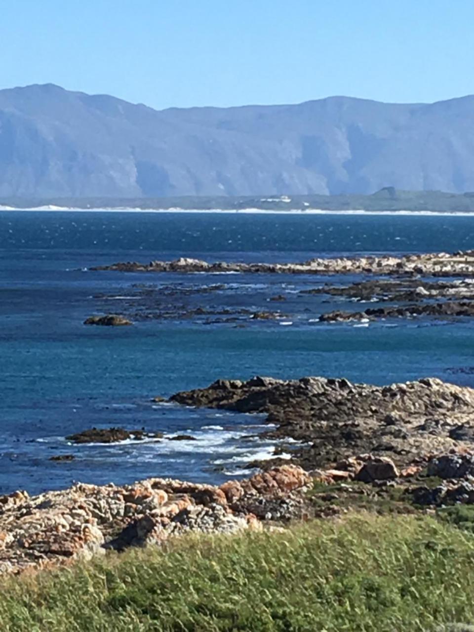Royal Albatros Lägenhet Gansbaai Exteriör bild