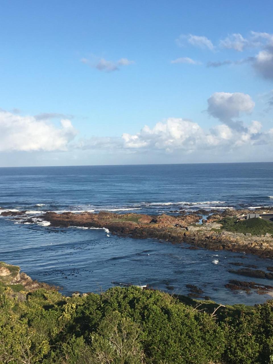 Royal Albatros Lägenhet Gansbaai Exteriör bild